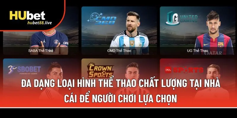 Đa dạng loại hình thể thao chất lượng 