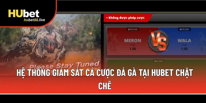 Hệ thống giám sát cá cược đá gà