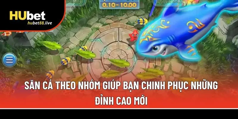 Săn cá theo nhóm 